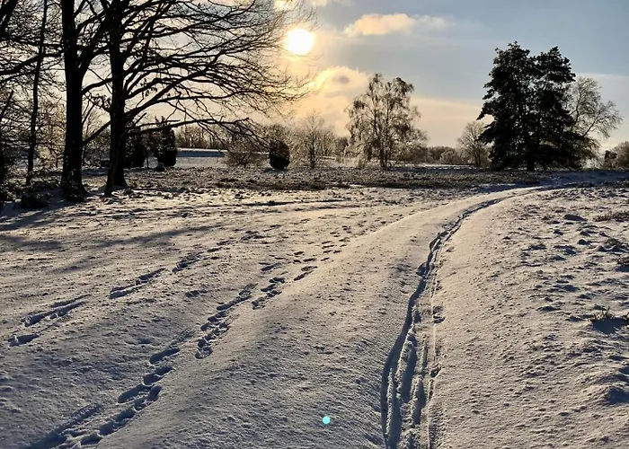 Ferienwohnung Heide View